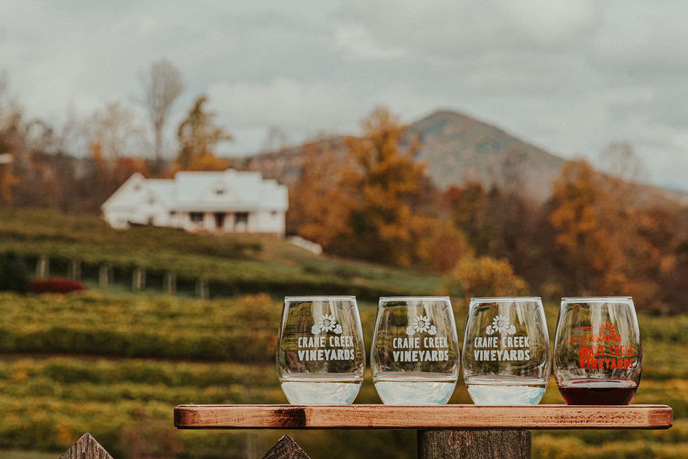 Glasses of Malbec on a wooden table overlooking the vines