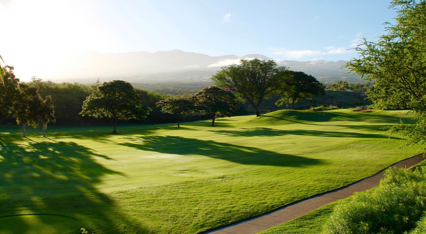 A fairway framed by trees in the morning light